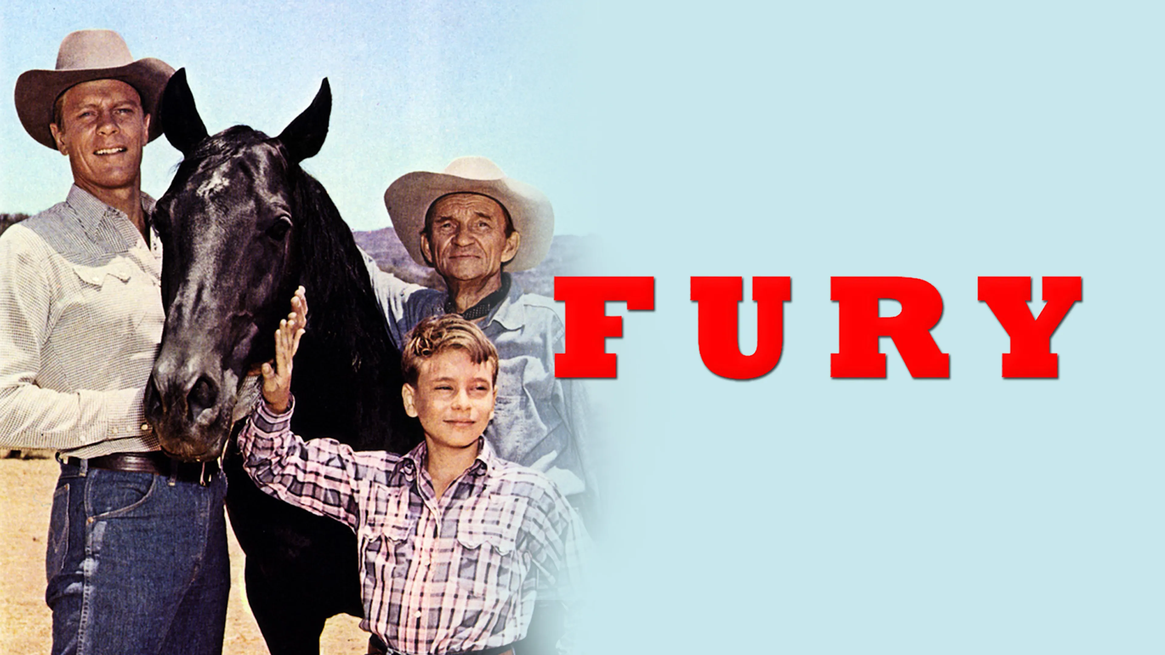 Fury poster